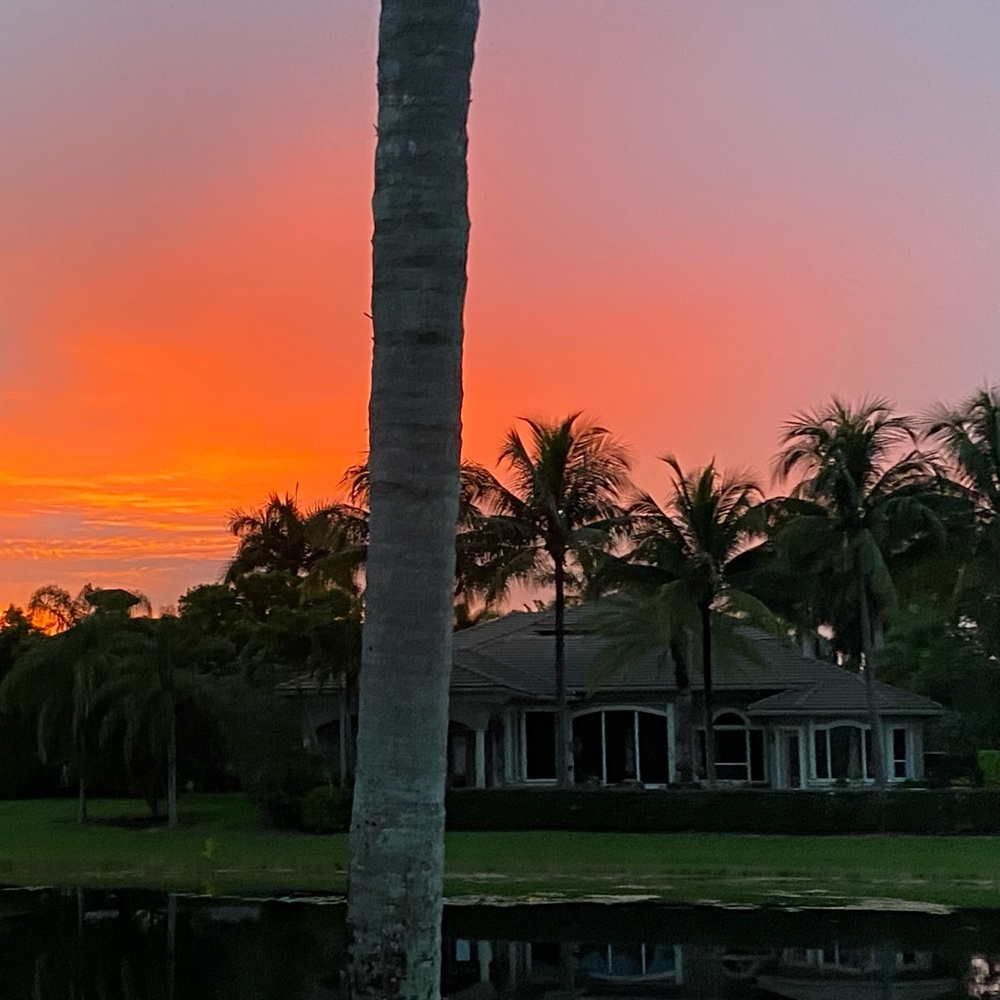 Meet your Posher, Lily